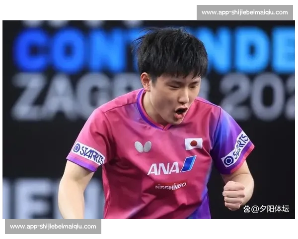 张本智和跪地反拉破心魔 零封国乒新星终结半年冠军荒