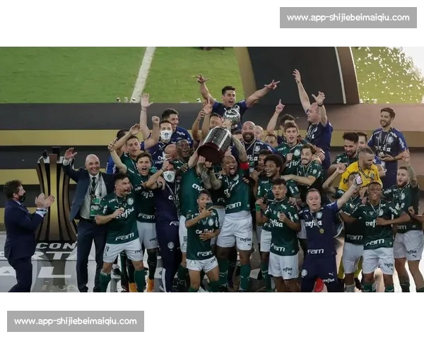 帕尔梅拉斯加时赛绝杀！保利尼奥替补登场一剑封喉